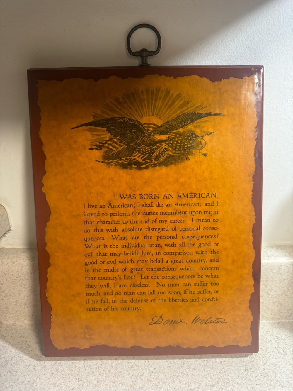 Patriotic Wall Plaque - David Webster
